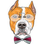 vector cartoon hipster dog American Staffordshire Terrier