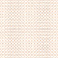 Seamless Floral Pattern N742