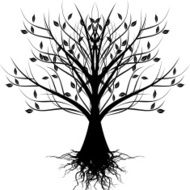 art tree N52