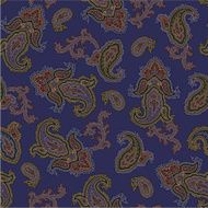 pattern paisley N148
