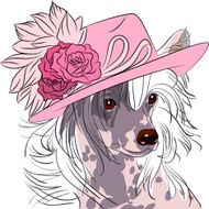 vector funny cartoon hipster dog Chinese Crested breed