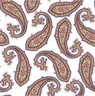 pattern of paisley N11