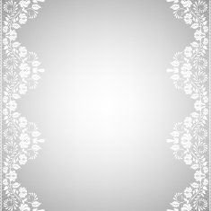 lace fabric background N23