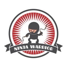 ninja sticker label N4