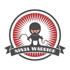 ninja sticker label N6