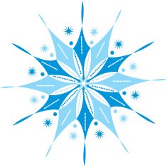 original vector snowflake lace N8