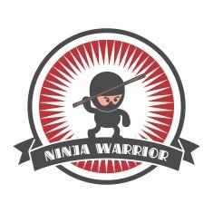 ninja sticker label N9