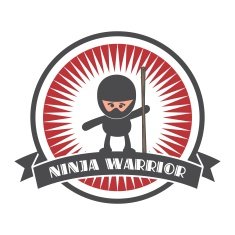 ninja sticker label N10