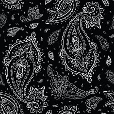 Seamless Paisley background N22