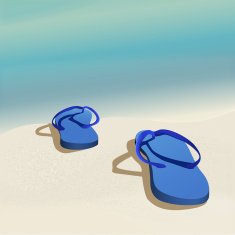 FlipFlopsSea a