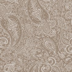 Seamless Paisley background N23