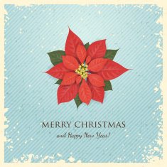 Christmas Greeting Card with Poinsettia