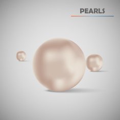 Set realistic vector pearls
