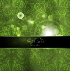 Floral Retro Background for Vintage Design N283
