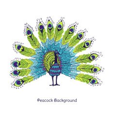 Peacock Card - in vector N2