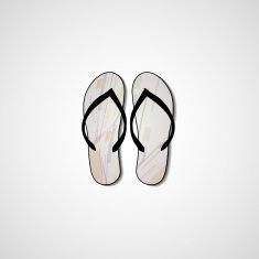 Abstract illustration on flip flops N163