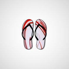 Abstract illustration on flip flops N164