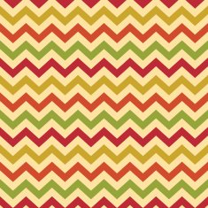Vintage Popular Zigzag Chevron Pattern N2