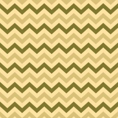 Vintage Popular Zigzag Chevron Pattern N4