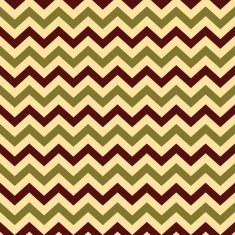 Vintage Popular Zigzag Chevron Pattern N6