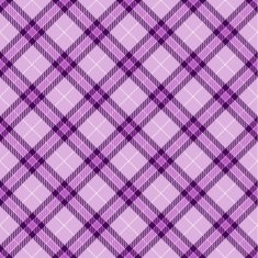 Seamless tartan pattern N30