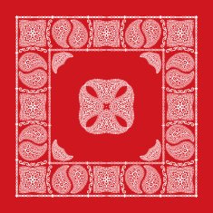 Red paisley bandana N2