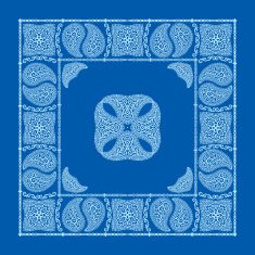 Blue paisley bandana