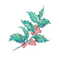 Christmas Mistletoe N11