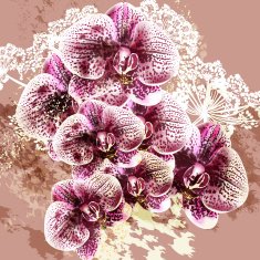 Grunge vector background with orchid flowers