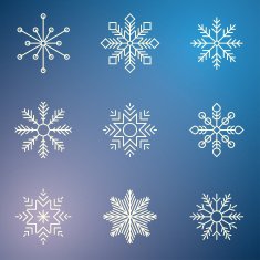Snowflakes N17