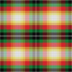 vector seamless pattern Scottish tartan N16