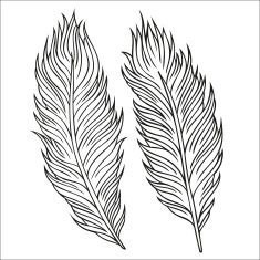 Vintage Feather vector set