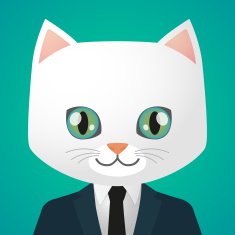 Cat avatar