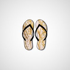 Abstract illustration on flip flops N165
