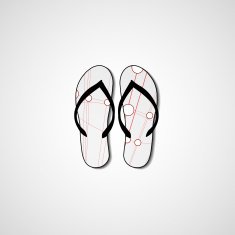 Abstract illustration on flip flops N166