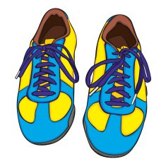 isolated shoes