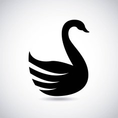 swan design N2