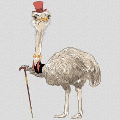 vector funny Ostrich Bird hipster