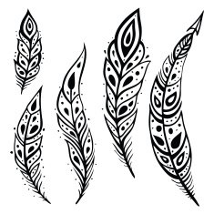 Peacock Feather set N2