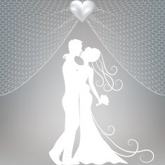 groom and bride N5