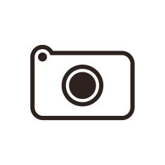 Camera Icon N97
