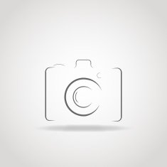 Elegant Camera Icon