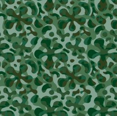 Camouflage pattern N2