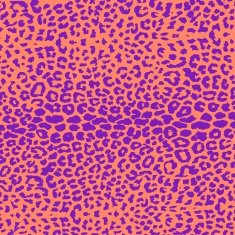 colorful textures of leopard N12