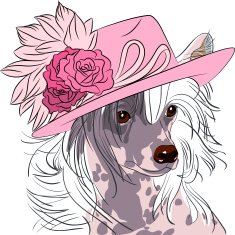 vector funny cartoon hipster dog Chinese Crested breed