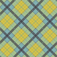 Plaid colorful fabric Checkered vector background Abstract Seamless pattern N5