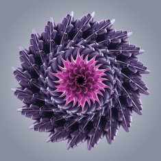 microbiological organic shape virus macro N6
