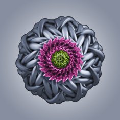 microbiological organic shape virus macro N12