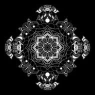 White and black fantastic decorative element N2