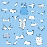 Vector set with panties lingerie and underwear